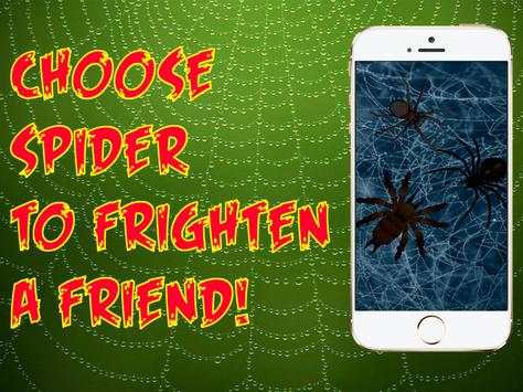 Spider Real 3D Camera Prank screenshot 4