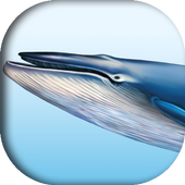 Blue whale (helping game) icon