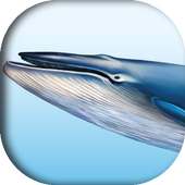 Blue whale (helping game) logo
