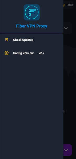 Fiber VPN Proxy screenshot 4