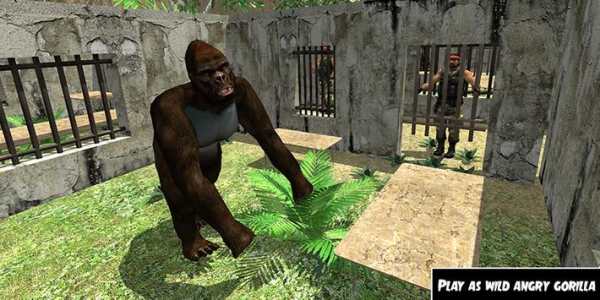 Wild Gorilla Jail Escape – Angry Ape Survival screenshot 1