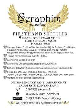 Seraphim screenshot 1