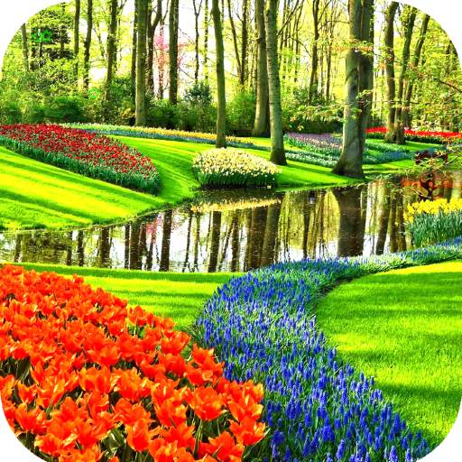 Garden Wallpaper HD 1.04