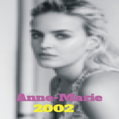 2002 Music icon