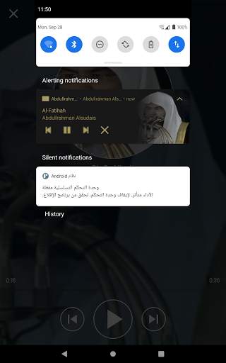 Abdullrahman Alsudais Full Holy Quran Offline screenshot 10