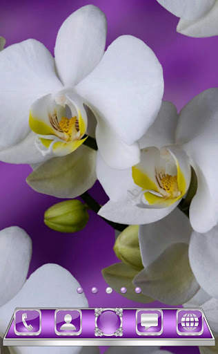 White Orchids Go Launcher theme screenshot 2