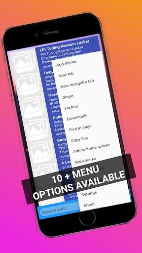 Privacy browser screenshot 3