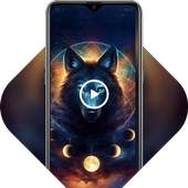 Wolf king 1.0.1