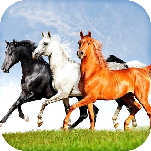 Horses Live Wallpaper HD 1.3