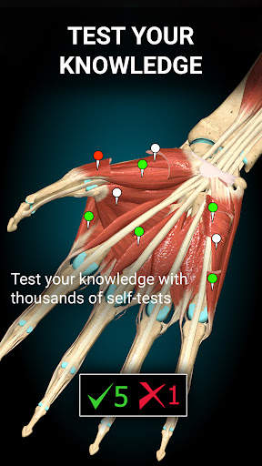 Anatomy Learning - 3D Atlas screenshot 5