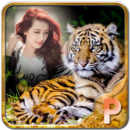 Tiger Photo Frames 1.4
