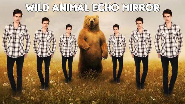 Echo Mirror Animal Effect : Echo Mirror Style screenshot 3