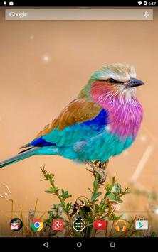 Spring Birds screenshot 13