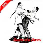 Best Wingchun technique Learning