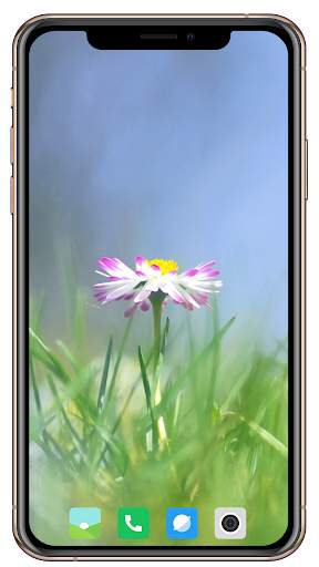 HD Grass Wallpaper screenshot 3