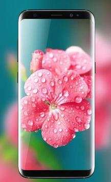 Pink Rose Live Wallpaper HD Phone Background 7 تصوير الشاشة