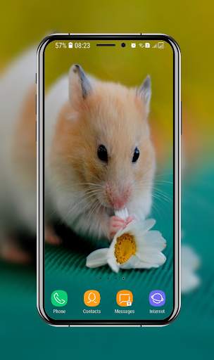 Cute Hamster Wallpaper screenshot 7
