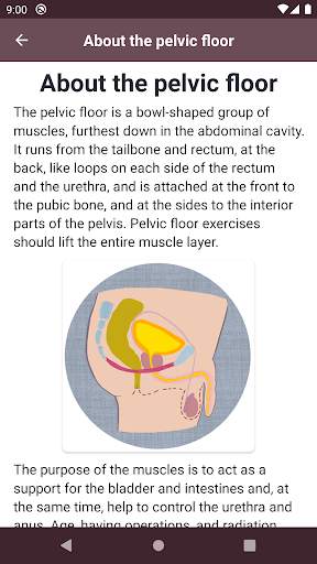 Tät III –Pelvic Floor Exercises for men screenshot 5