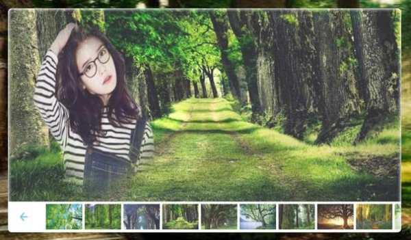 Forest Photo frame screenshot 2