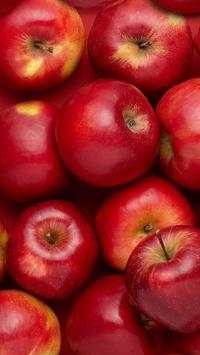 Apple Wallpapers HD screenshot 1