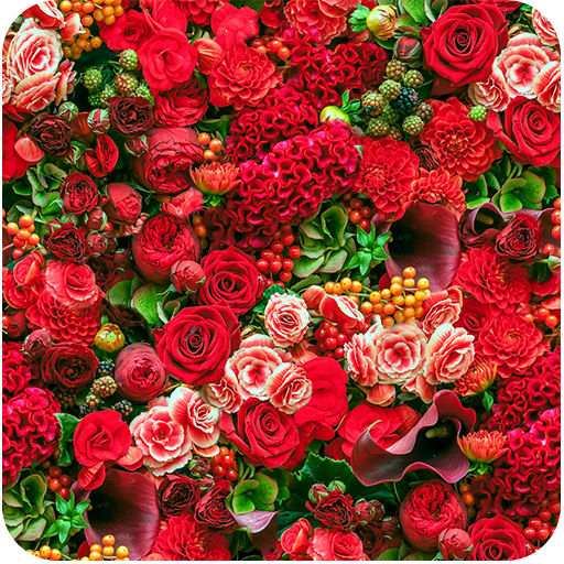 Flowers Wallpaper icon