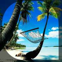 Nature Sound- Meditation Music