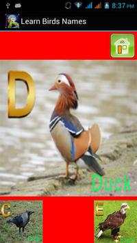Kids Learning Birds Name screenshot 3