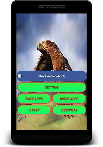 Eagle Live Wallpaper - Screen Lock, Sensor, Auto screenshot 2