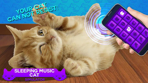 Sleeping Music Cat Simulator screenshot 2