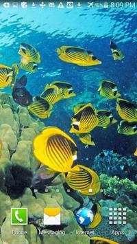 Ocean Fish Live Wallpaper screenshot 3