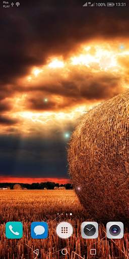 Beautiful Summer HD Wallpapers 5 تصوير الشاشة