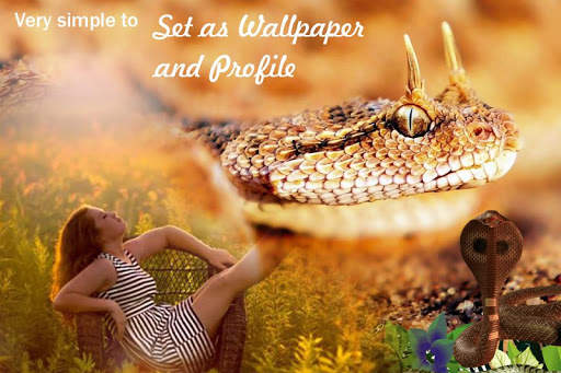 Snake Photo Frame screenshot 6