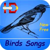 Birds Songs and Sounds (HD Sounds) 3.0