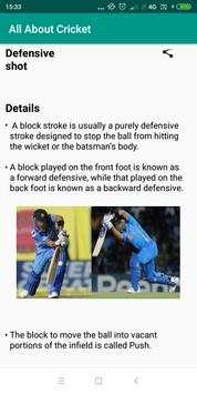 All About Cricket screenshot 4