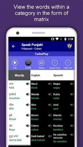 Speak Punjabi : Learn Punjabi Language Offline screenshot 7