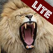 Animal Sounds - LITE logo