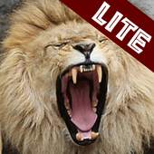 Animal Sounds - LITE 1.0