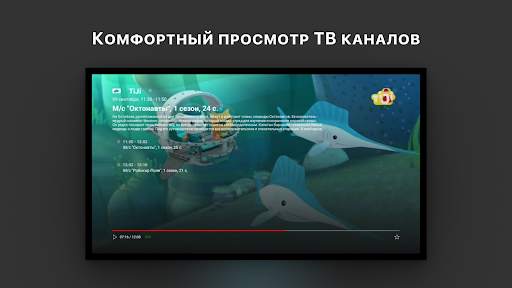 IDC TV screenshot 8
