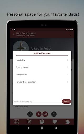 Birds Encyclopedia Offline App screenshot 15