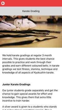 International Karate screenshot 4
