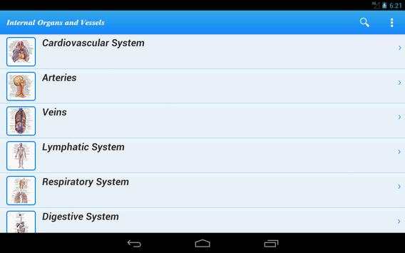 Human Anatomy II Lite screenshot 4