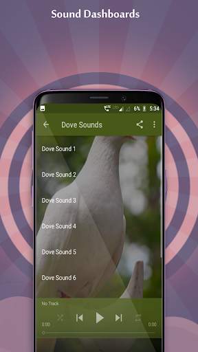 Dove Sounds 4 تصوير الشاشة
