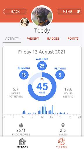 PitPat screenshot 3