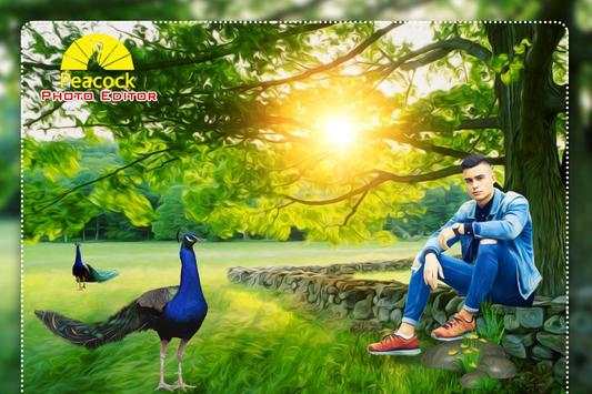 Peacock Photo Editor : Photo Frame 2 تصوير الشاشة