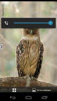 India Birds स्क्रीनशॉट 6
