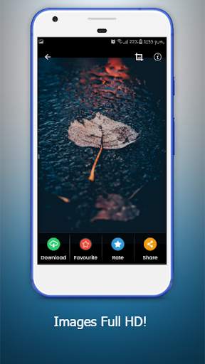 Wallpaper Pluie: Fond D'écran Pluie screenshot 4