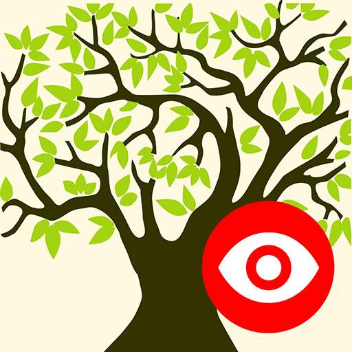 Family Tree Explorer Viewer – for the PC software 1.08