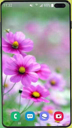 Flowers Wallpaper Best HD screenshot 12