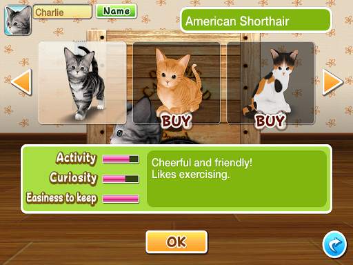 My Cat My Room screenshot 11