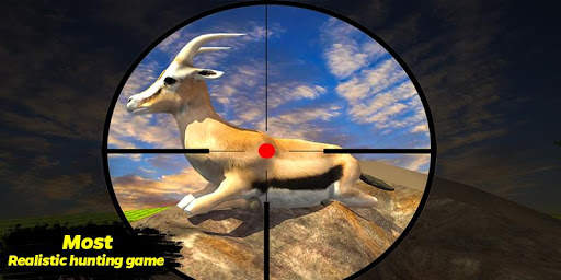 Deer Hunting Adventure-Jungle animal hunter screenshot 3